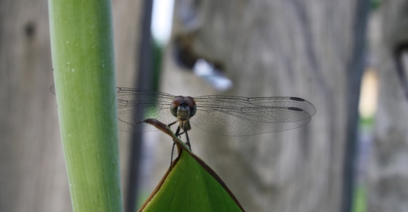Detail - D5 Photo Contest Detail - D5 Photo Contest